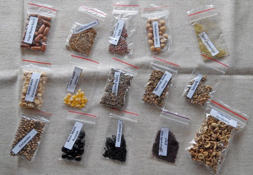 Packaging & dispatch