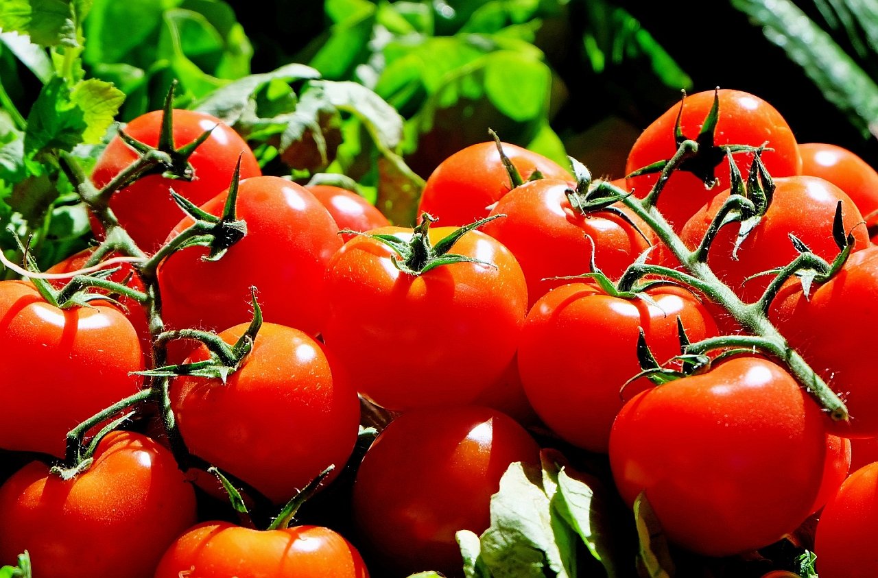 Tomato product preview