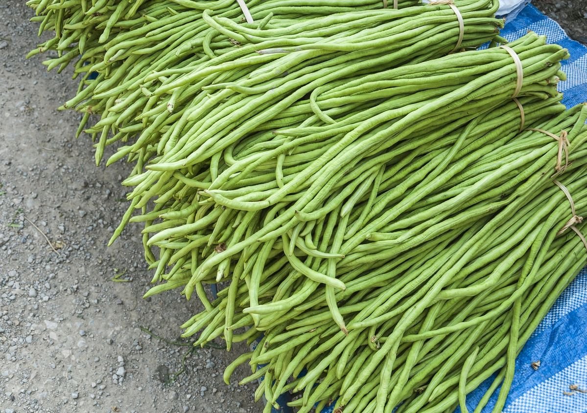 Long Bean product preview